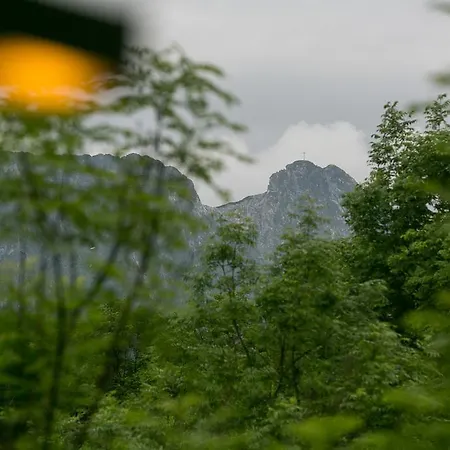 Apartamenty Stara Polana Zakopane Exterior foto